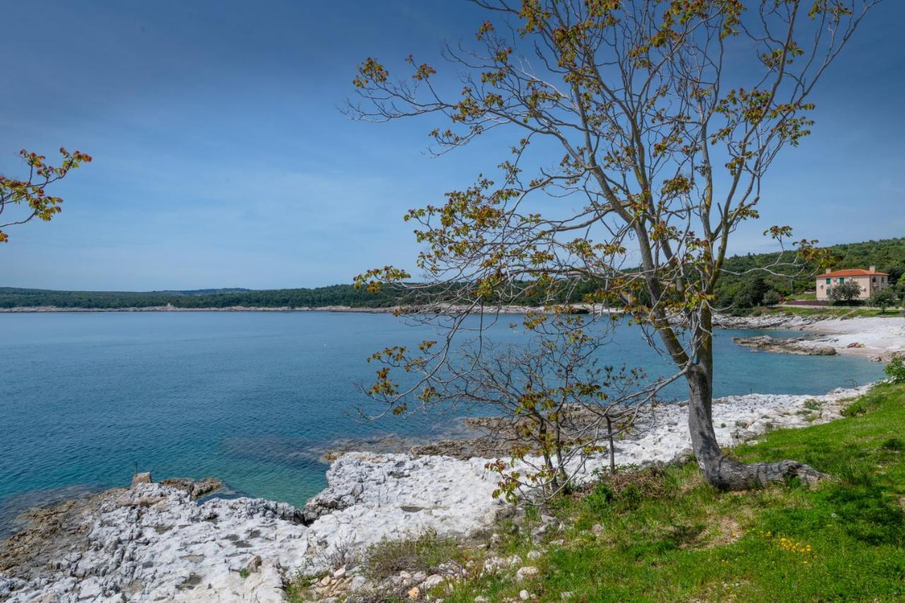 Apartment Dobric Koromačno Екстериор снимка