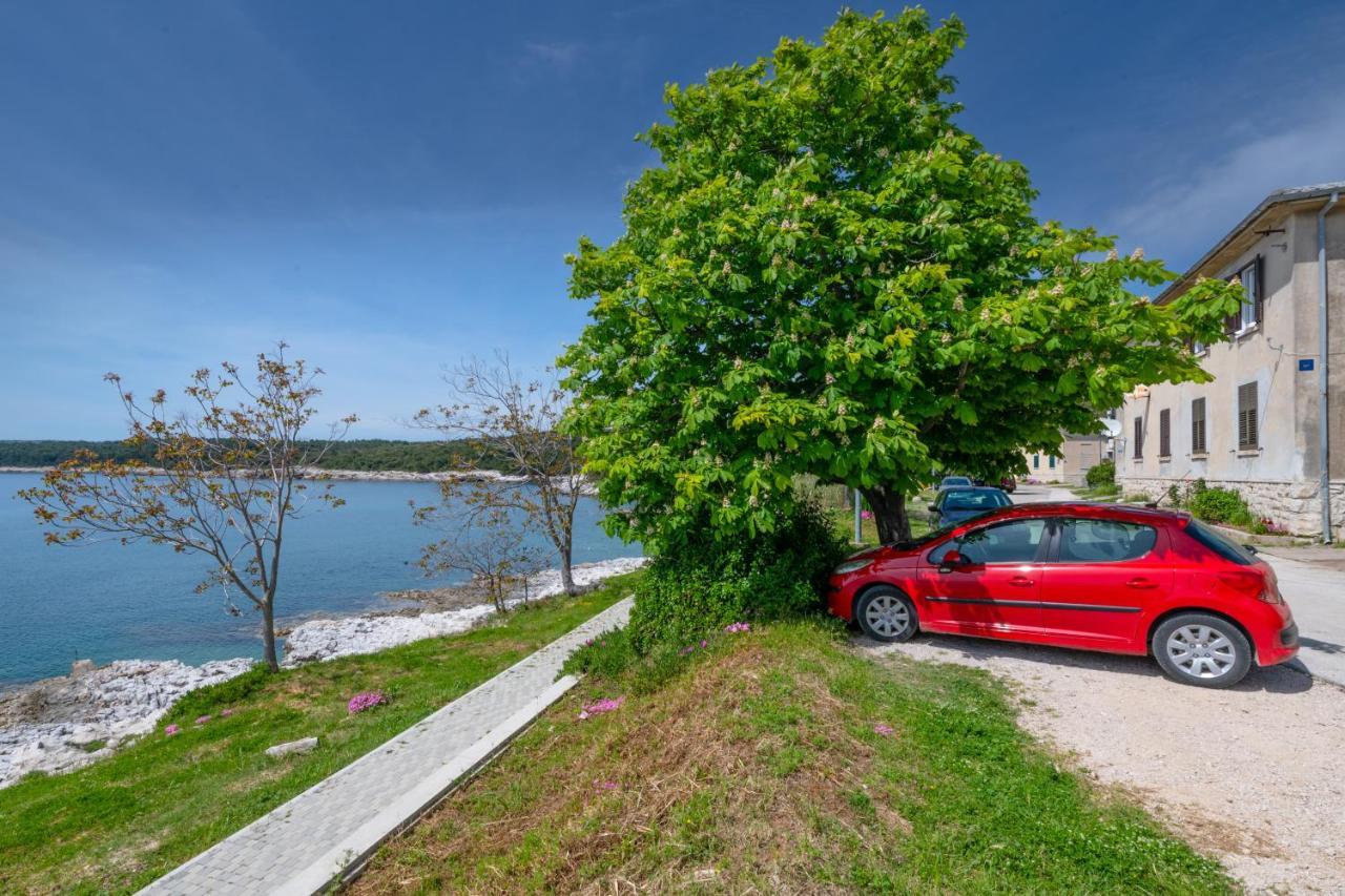 Apartment Dobric Koromačno Екстериор снимка