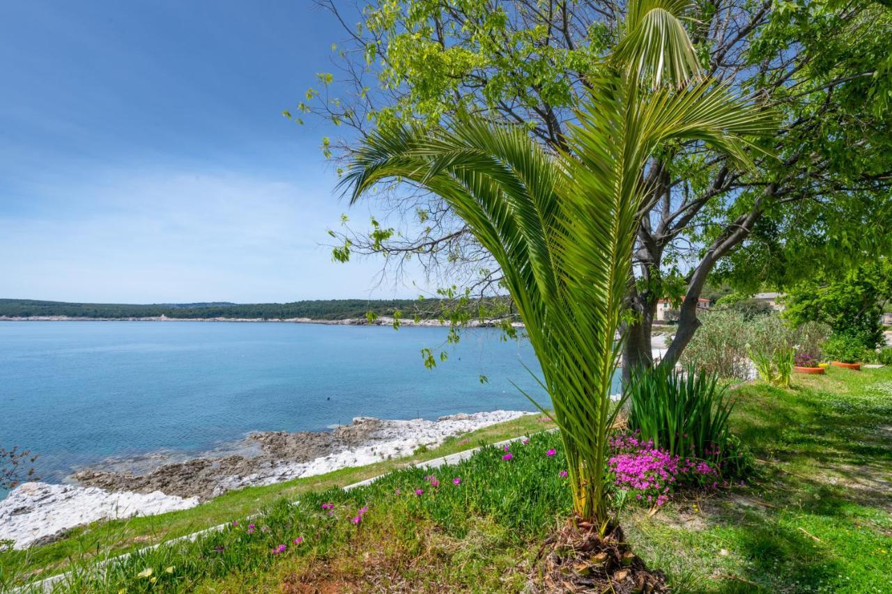Apartment Dobric Koromačno Екстериор снимка