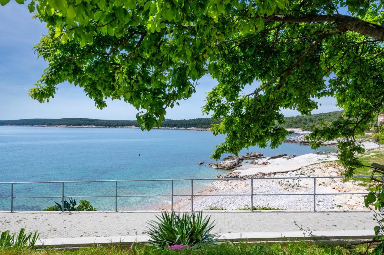 Apartment Dobric Koromačno Екстериор снимка