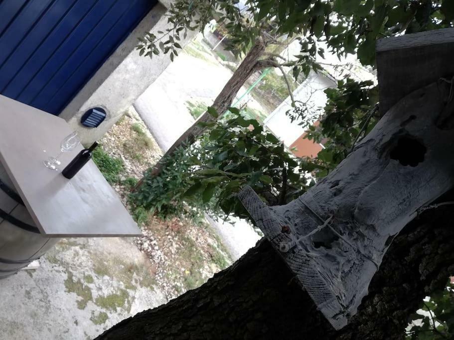 Apartment Dobric Koromačno Екстериор снимка